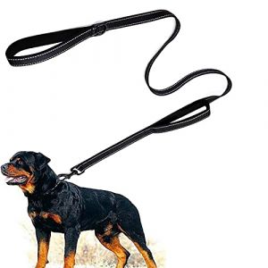 Eyeleaf Laisse pour chien 1,8 m r&eacute;fl&eacute;chissante et forte avec double poign&eacute;e rembourr&eacute;e r&eacute;sistante en nylon laisse pour chiens taille moyenne noire (Top-Newest, neuf)