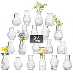 Hewory Mini Vase Deco Table: 20 Petit Vase en Verre Vintage Vase Mariage pour Decoration Mariage - Mini Bouteille Verre Vase Fleur Fiole en Verre Vase Decoration Design pour Centre de Table Mariage (Sportsteam-66, neuf)