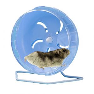 Roue pour Hamster Silencieuse, Roue d'exercice pour Hamster, Roue d'exercice pour Hamster, Roue de Course silencieuse pour Hamster, Gerbilles, Souris et Autres Petits Animaux, Bleu (Huayeex, neuf)