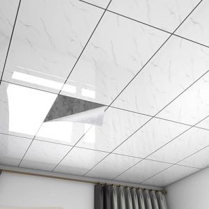 Dalles de Plafond Autocollantes en PVC pour Salle de Bain,Carreaux De Plafond &Agrave; D&eacute;coller Et &Agrave; Coller,Dalles de Plafond Suspendue en PVC imperm&eacute;able,pour sous-Sol,Cuisine,Salle De Bain (DanHP, neuf)