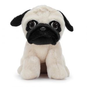 Zappi Co Andy Le Carlin en Peluche (22 cm) &ndash; Copain Carlin &ndash; Doux et c&acirc;lin, recycl&eacute; &ndash; Ami potel&eacute; &agrave; c&acirc;liner (Toys & Home, neuf)