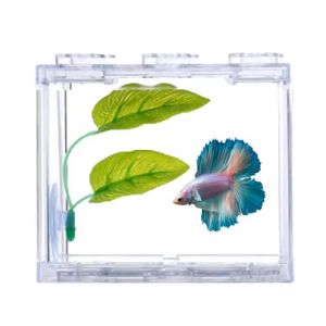 Tomotato Petit Aquarium Betta Transparent en Acrylique - Miniature Portable, Carré, Kit Décoratif pour Poissons, Tortues - Maison, Bureau (Tideter, neuf)