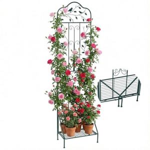 GOPLUS Treillis de Jardin en M&eacute;tal pour Plantes Grimpantes, Cl&ocirc;ture Decorative Ext&eacute;rieure avec &Eacute;tag&egrave;re Inf&eacute;rieure Pliable, pour L&eacute;gumes, Fleur&Fruits, Support de Vignes (Oiseau Vert|50x190CM,1) (Augenstern24, neuf)