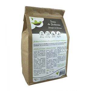 Terre de Diatomée Anti Punaises de Lit (Sachet de 1kg) - Solution Naturelle Anti-Insectes - Éco-Responsable (Ecoconseils, neuf)