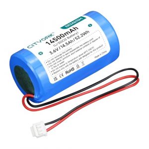 CITYORK ER34615M Batterie au Lithium Li-SOCI2 3,6 V Compatible avec DSC ER34615M-T1 WT4911 WT4911B WT8911 ALEXOR Siren d'extérieur sans Fil WT4911BATT ADT （Non Rechargeable） (CITYORKbatteryuk, neuf)