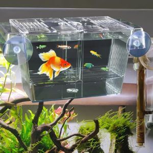 WEFHEF Réservoir d'Élevage des Poissons d'Aquarium 21,5x9x9,5cm, Boîte d'Isolation pour Aquarium avec Ventouses, Bac d'Élevage de Crevettes en Acrylique Transparent, pour Alevin Combattant Guppy Platy (Vectorspar, neuf)