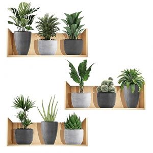 3D Stickers Muraux,3pcs Stickers Muraux 3D Plante de Salon,Autocollant Sticker Mural Nature Herbe Pot de Fleurs,Créative PVC Bonsaï Autocollants Muraux Pour Salon,Chambre à Coucher,Cuisine,Déco Murale (KEUGT, neuf)