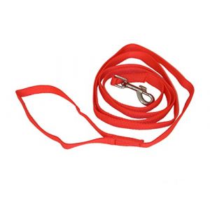 Passionnal - Longe Plate Nylon - 2 M (MEILLEURAMI, neuf)