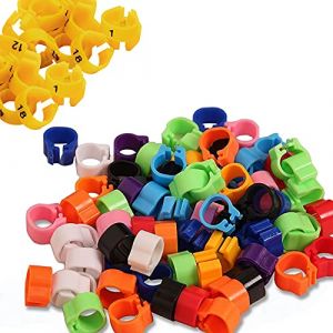 Pamtns 200 Pièces Bague Pigeon Pied de Pigeon Multicolores en Plastique Clip Bague Oiseau Anneaux pour Oiseaux Anneaux pour Pied d'Oiseau Anneaux en Plastique Pigeon d'Oiseau Bague (Pamtns, neuf)