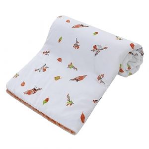 Miracle Baby Couverture Minky pour bébé, Couverture Nomade Enfant à Double Face avec Rembourrage, Couverture Poussette pour GarçOn Et Fille (Oiseau, 75x100cm) (Baby Honey Group, neuf)