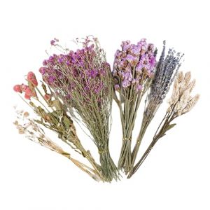 Generisch Litière pour hamster - Litière de plantes - Literie naturelle fleurie - Accessoire de cage à hamster avec thème naturel - Accessoire de cage pour gerbille (Jiaruitm, neuf)