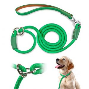 Qianruida Laisse Dressage et Collier 1cm x 180cm Laisse Retriever Laisse Lasso pour Chiens de Toutes Tailles Laisse Coulissante avec Poign&eacute;e Rembourr&eacute;e &ndash; Vert (QianRuidDa, neuf)
