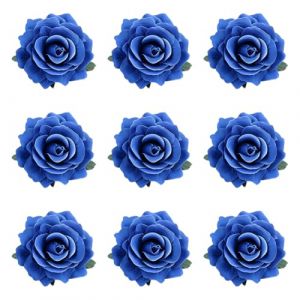 9PCS Barrette Fleur Pince &agrave; Cheveux, Roses Bleu Fleur Accessoires de Cheveux, &eacute;pingle &agrave; Cheveux Mariage, Pince Fleur Rouge Cheveux, Fleur Clip pour Filles Femmes Enfants F&ecirc;te Plage Mariage (Surakey, neuf)