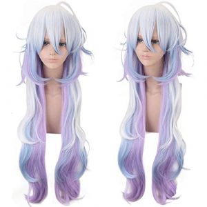 Fate/Grand Order Caster Merlin Long Wig Cosplay Costumes Fate Stay Night Heat Resistant Synthetic Hair Wigs (good stuff A, neuf)