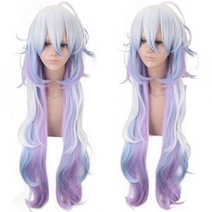 Fate/Grand Order Caster Merlin Long Wig Cosplay Costumes Fate Stay Night Heat Resistant Synthetic Hair Wigs (YangJiangJiangChengHuoLunDianZiShangWuShangHang, neuf)