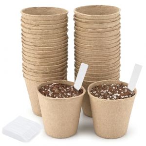 KINGLAKE 50 Pièces 8CM Pot de Culture Biodegradable pour Semis, Peti Pot pour Plantation, Godets de Rempotage Degradable, avec 100 5x1 cm Etiquette Plante - pour Jardin, Potager, Serre (JH Gardening, neuf)