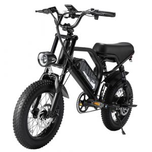 E Bike Vélo électrique-Ebike avec Batterie Amovible 36V 13Ah, E-Bike 16 * 3.0 Pouces Fat Tire, Ebike Hommes, Écran LCD Intelligent, Frein à Double Disque (VDL POWER, neuf)