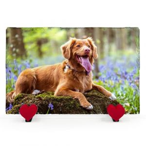 AIGAT Plaque Commémorative Rectangulaire Personnalisée 20 X 30 cm avec Support en Forme De Coeur pour Chat, Chien, Ardoise, Pierre, Patte, Pierre Tombale - Photo Complète À L'horizontale (AIGAT, neuf)