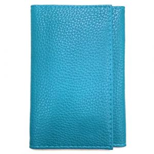 LOLUNA® - Porte Papier Voiture en Cuir Graine Souple - Format 3 Volets Compact - Etui Carte Grise, permis, identité, Assurance, crédit, dans Plusieurs Couleur pour Homme et Femme (Ciel Turquoise) (L'Atelier du Cuir, neuf)