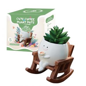 Pot de fleurs mignon motif smiley pour int&eacute;rieur et ext&eacute;rieur, chaise &agrave; bascule unique pour plantes grasses trou de drainage, id&eacute;e cadeau pour maman et No&euml;l (taille S) (Yiilead Direct, neuf)
