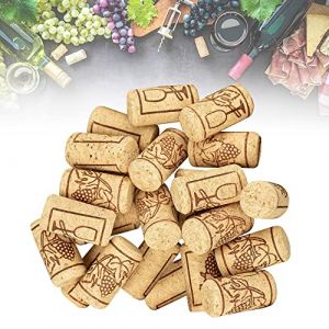 skytowards 100 PCS Bouchon en Li&egrave;ge Naturel, Bouchon Conique Bouchon de Bouteille de Vin en Bois R&eacute;utilisable Bouchons de Bi&egrave;re en Bois pour Stockage et Scellage de Vin D&eacute;co Bricolage (21 x 40 mm) (ASTROS OUSADOS UNIPESSOAL LDA, neuf)