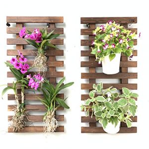 ShopLaLa Jardini&egrave;re Murale &ndash; Jardini&egrave;re Suspendue pour Plantes d'int&eacute;rieur, Support de Plantes, Plantes Grasses, Support de Plantes Grasses, Jardin Vertical, Grande d&eacute;coration Murale pour Salon, (绿春霍魁贸易有限公司, neuf)