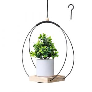 Diyxisk Pot de Fleur Suspendu, Bague en Métal Suspension Plante Intérieure, Simplicité Suspension Plante Exterieur, avec Base en Bois, pour Balcon Plafond Fenêtre Jardin Balcon (Noir) (YAOYAOI, neuf)