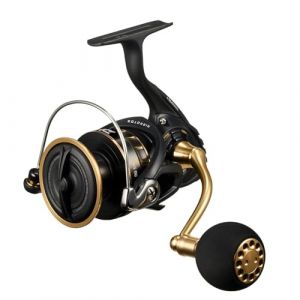 Daiwa Moulinet 23BG SW 5000D-CXH (Dimensione Pesca Com, neuf)