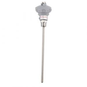 Sonde De Temp&eacute;rature PT100,Sonde De Capteur De Temp&eacute;rature RTD PT100, T&ecirc;te De Borne De Thermocouple, Capteur De Temp&eacute;rature Pour Contr&ocirc;leurs &ndash; Filetage NPT 1/2"(protecting housing 400mm) (Haedaxua, neuf)
