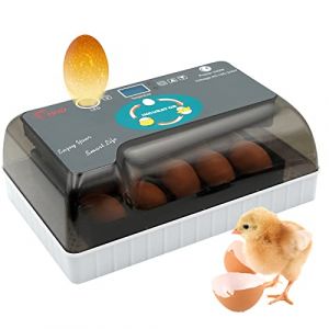 Couveuse Automatique, 12 Couveuses Avec ContrôLe Intelligent et PréCis de la TempéRature et de L'Humidité, éClairage Led Efficace, Adapté Aux Poules, Oies, Canards, Pigeons et Cailles (farm & ranch, neuf)