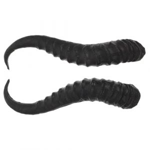 Abaodam Cornes pour Serrage-T&ecirc;te DIY en Plastique 1 Paire Cornes de Mouton Artificielles Accessoires de Costumes Cosplay F&ecirc;te Halloween D&eacute;coration Performative (Naralimn, neuf)