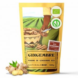 NaturaleBio Gingembre en poudre bio 500g | 100% pur, non-OGM, sans additifs, sourcé durablement au Pérou. Idéal pour parfumer vos plats, thés, smoothies et en remède bien-être. Format pratique de (NaturaleBio, neuf)