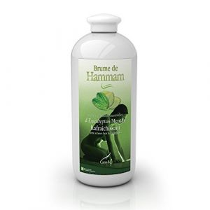 Camylle - Brume de Hammam Eucalyptus/Menthe - Fragrances à base d'Huiles Essentielles pour Hammams, Bains de Vapeur ou Douches Hammam - Rafraîchissant aux arômes frais et stimulants - 1000ml (Camylle, neuf)