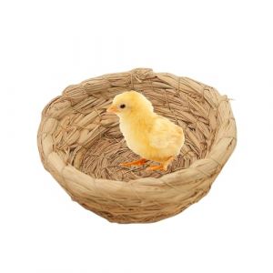 Nid de couveuse pour oiseaux - Nid de couv&eacute;e tiss&eacute; avec fond plat - Accessoire de cage &agrave; oiseaux - Nid pour, perroquet, lapin, hamster, gerbille, cochon d'Inde, chinchilla Holdes (azurely, neuf)