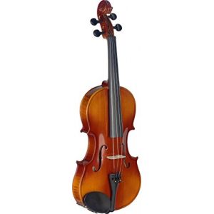 Stagg VN-4/4 L Violon en Erable Taille 4/4 avec &eacute;tui (LA BOITE A MUSIQUE 57, neuf)