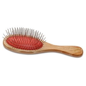 Mars Professionnel Toilettage Brosse à Picots pour Les Chiens et Les Chevaux, 2,5 cm goupilles en Acier Inoxydable de Haute qualité (Fast Media Ships From USA, neuf)