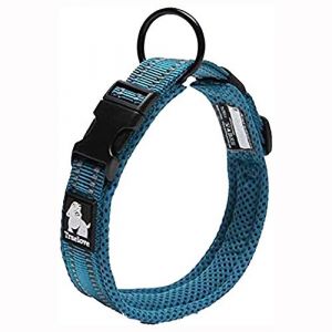TRUE LOVE Collier de Chien Réfléchissant Réglable Nylon Solide Confort rembourré Colliers Pet Classic TLC5011(Bleu,XS) (Truelove Pet Garment and Shoes Co.Ltd., neuf)