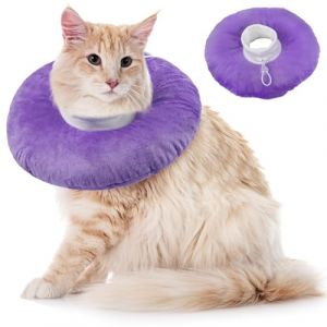 Collerette Souple Chat, Collerette Anti Lechage Chaton ColleretteAnti Grattage ColleretteSouple C&ocirc;nes Chat &Eacute;lisabeth Collier C&ocirc;ne de R&eacute;cup&eacute;ration (Bleu, L) (PUMYPOREITY, neuf)