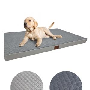 Odolplusz Lit orthopédique pour chiens de grande taille, coussin pour chiens de taille moyenne et grande taille, matelas avec housse lavable, gris, 120 x 80 x 7 cm (Odol Store, neuf)