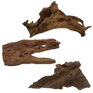 AquaOne Racine de mangrove - Taille XL - 1 pièce - 70-80 cm - Bois naturel - Décoration d'aquarium - Racine en bois véritable (AQUARISTIKWELT24, neuf)