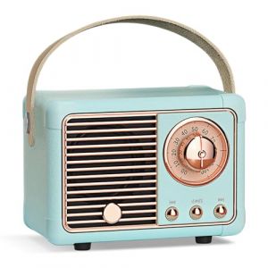 PORFOYO Mini Haut-Parleur Bluetooth R&eacute;tro, Portable Haut-Parleur sans Fil avec Radio FM, Rechargeable Poste Radio Vintage, Bluetooth 5.0/USB/TF/Aux, pour Vintage D&eacute;coration (B) (TRUST AND BU, neuf)