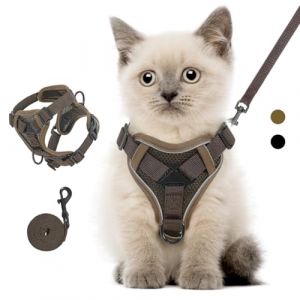 VavoPaw Ensemble Harnais et Laisse pour Chat Anti-évasion, Harnais Ajustable pour Chaton avec Bande Réfléchissante, Filet Respirant, Gilet de Sécurité Souple pour Chat, Chaton, Chiot, S, Café (Shenzhenshi xingyunda maoyiyouxiangongsi, neuf)