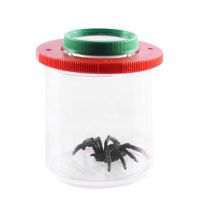 Insectes Kit D'observation - Boîte D'observation Des Insectes Boîte D'insectes Barattolo Observez Les Insectes | Pot D'insectes Pour Les | Boîte D'observation Des Insectes D'araignée C (feipaishanshan, neuf)