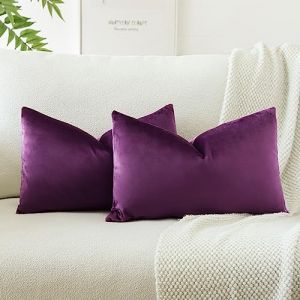 JOTOM Lot de 2 Housses de Coussins en Velours D&eacute;coratif Canap&eacute; Taie d'oreiller Doux Decoration pour Maison Salon Chambre Canap&eacute; D&eacute;coration 30x50cm (Aubergine Pourpre) (Jotom Europe, neuf)