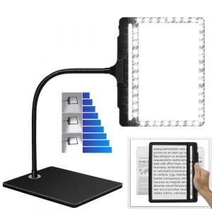 NZQXJXZ 5X Loupe de Lecture avec lumière et Support, 2 en 1 Lampe loupe de Bureau 42 LED à luminosité réglable, Grande loupe de Page détachable avec col de Cygne Flexible pour la Couture, l'artisanat (Sumcoolstore, neuf)