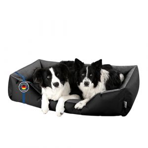 BedDog Lit pour Chien XXL - Orelier - Panier - Canapé - Housse Amovible, Lavable, pour Moyen-Grands Chiens (SOGO-GmbH, neuf)