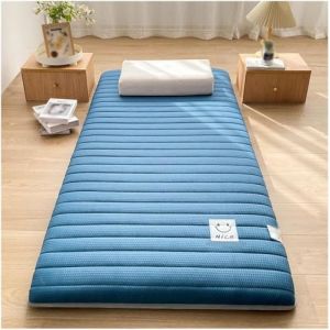 Matelas - Style minimaliste - Tapis de couchage pliable - Surface matelass&eacute;e douce - Support en mousse l&eacute;ger - Coussin de lit pour dortoir d'&eacute;tudiant, camping, chambre d'amis (D, 80 x 190 cm) (KUNKUN 18, neuf)