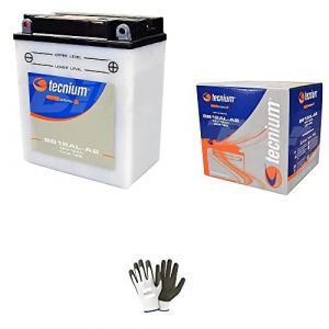 Compatible avec Aprilia Atlantic E3 125 2003 à 2014 Batterie déjà prête à l'emploi YB12AL-A2 12 V 12 Ah batteries 12 ampères 12 V spécifique moto scooter 134 x 80 x 160 mm (farbrothersonline, neuf)