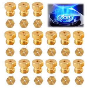 15 Pi&egrave;ces Gicleur Gaz Butane Universel Kit d&rsquo;Injecteurs pour Conversion GPL Propane, Cuisini&egrave;re et Plaque de Cuisson, Bouteille de Gaz Br&ucirc;leur 0.5-0.65-0.7-0.80-0.87-0.90-0.95-1.02 mm (LINYANYANG, neuf)