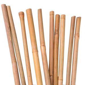 UNUS Lot de 10 tuteurs en bambou de 150 cm de long pour plantes d'int&eacute;rieur ou dans le jardin pour concombres, tomates (UNUS Living, neuf)
